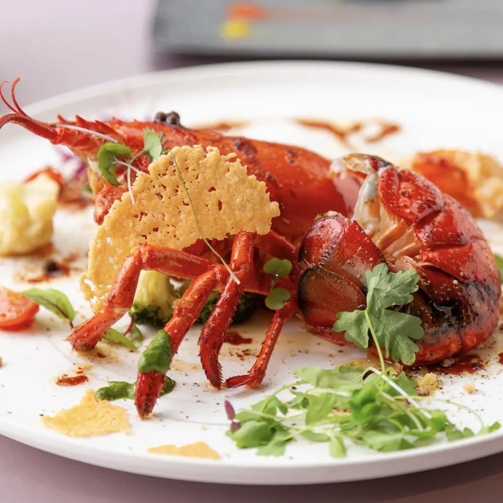 料理・食品の撮影